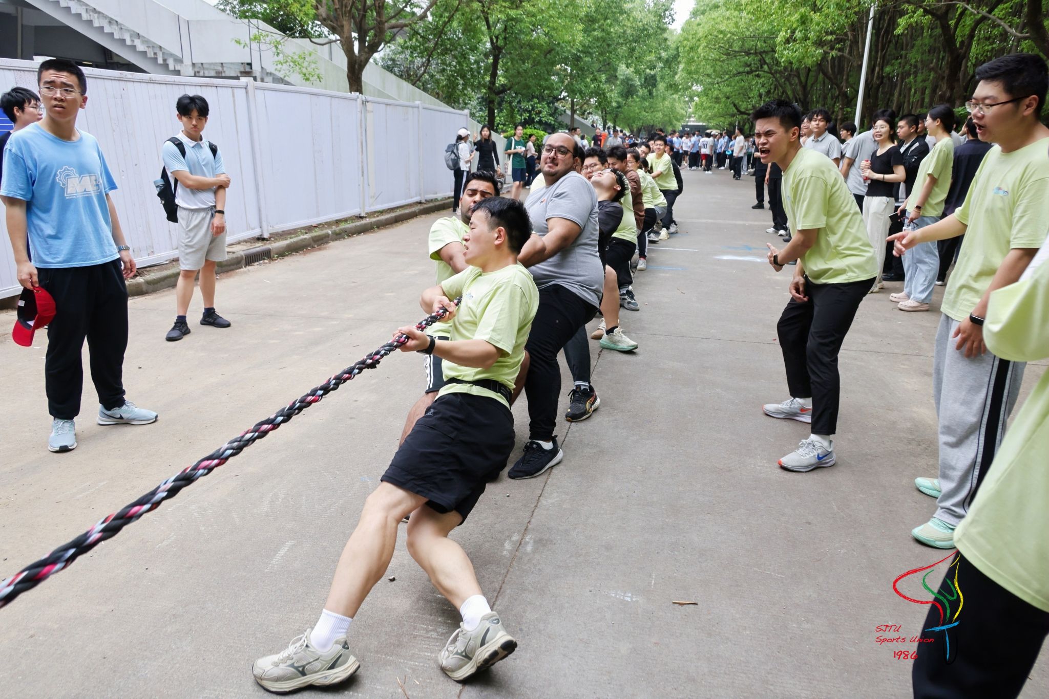 A8体育APP下载