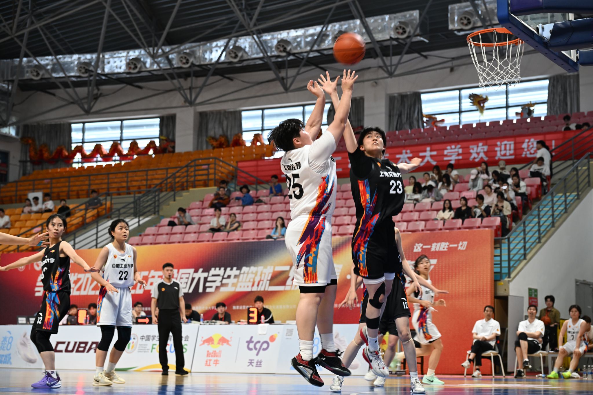 A8体育指定通道