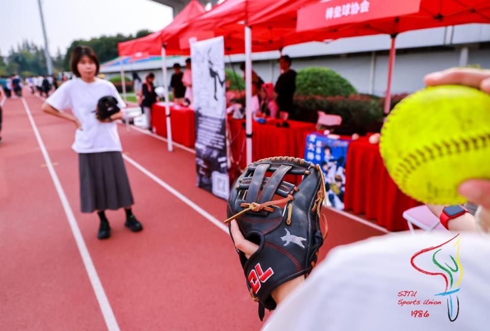 A8体育稳定线路